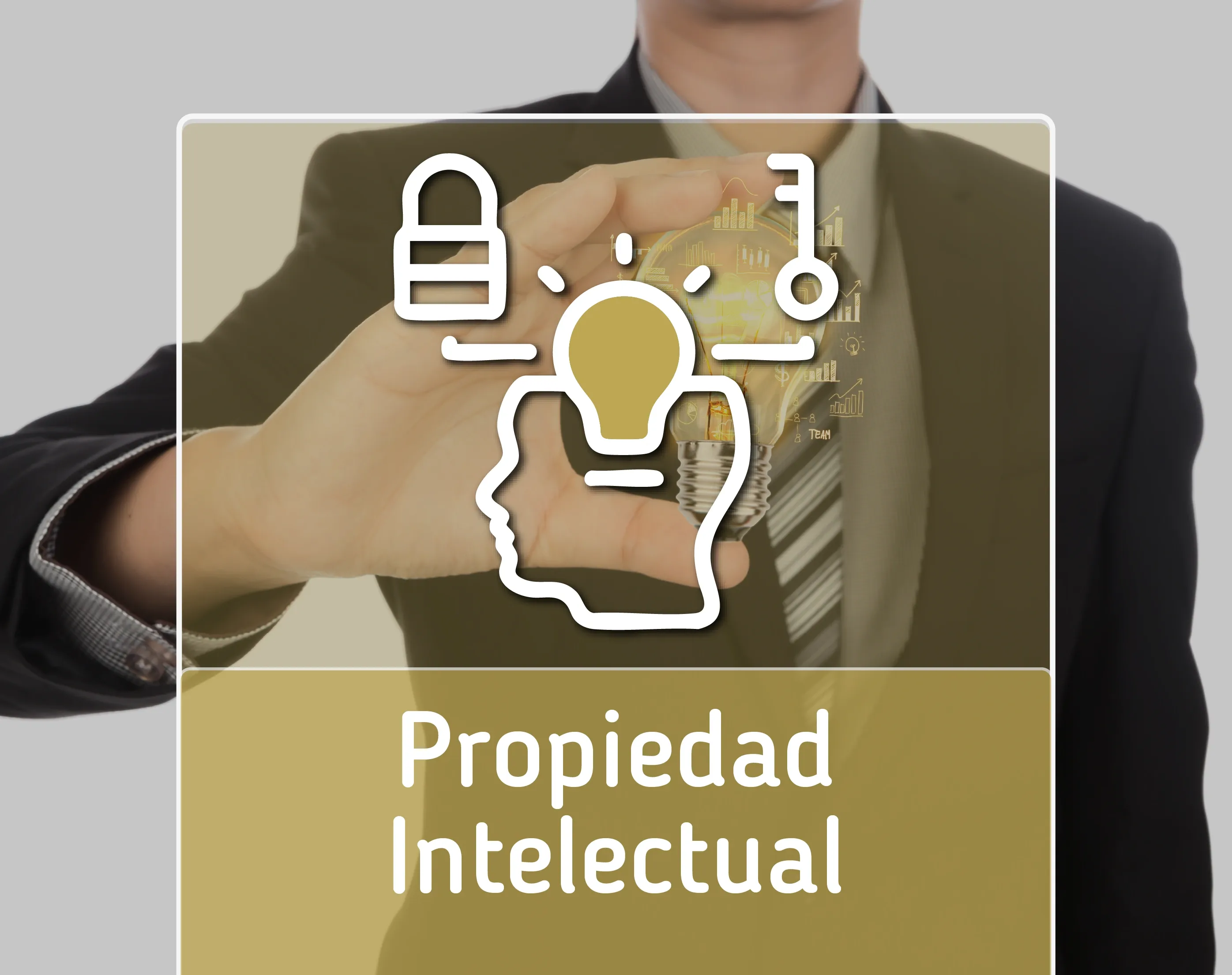 Propiedad Intelectual