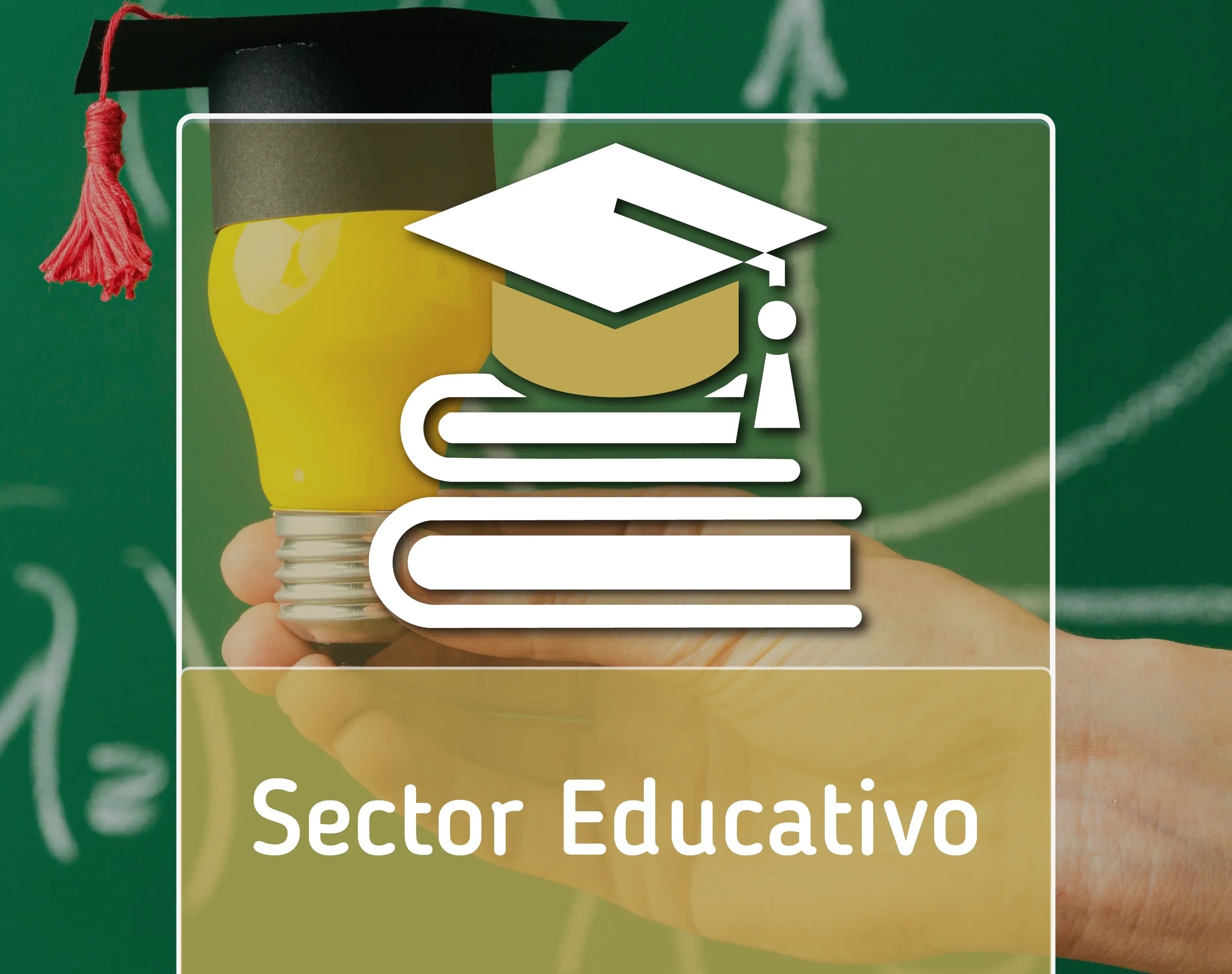 Sector Educativo