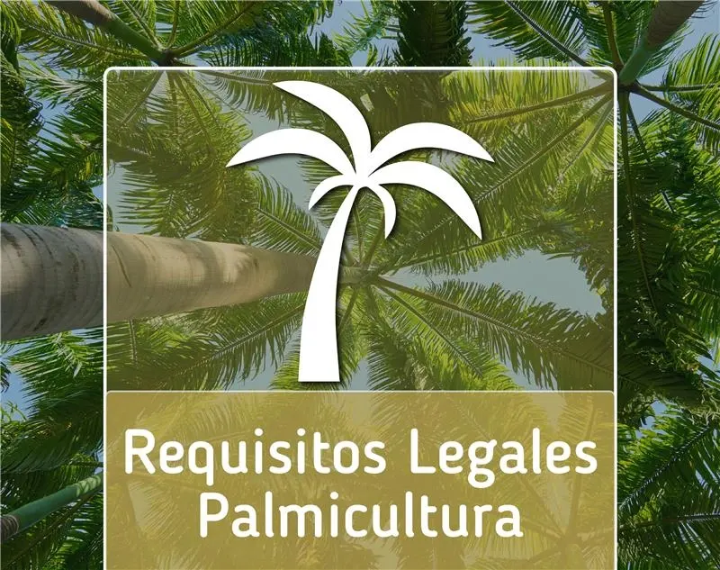 Palmicultura